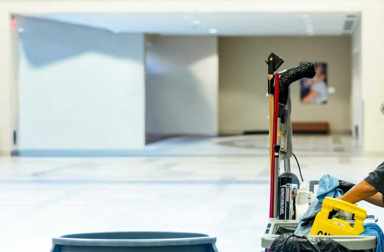 pexels caleboquendo 34516670